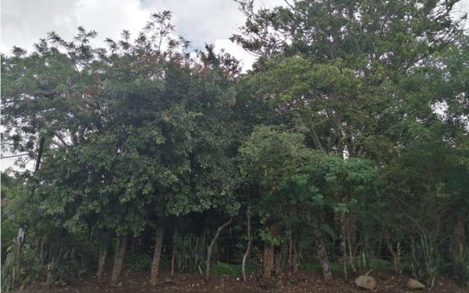 28142.Se Vende Amplio Lote en San Antonio de Escazú DE 4253 m2.Precio de oportunidad