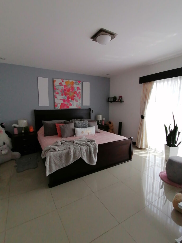 Imagen 12