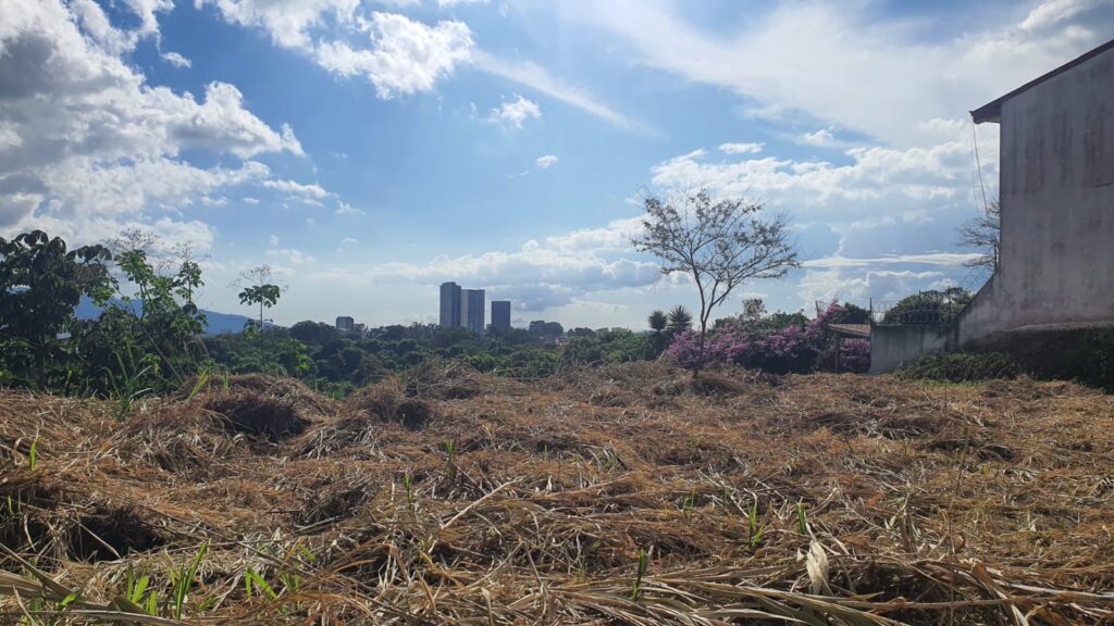 Características de la propiedad
