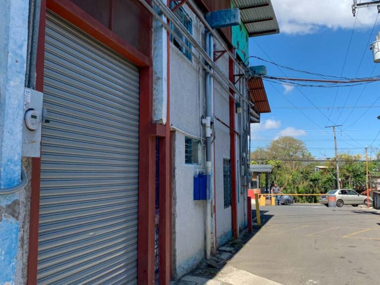Imagen 6