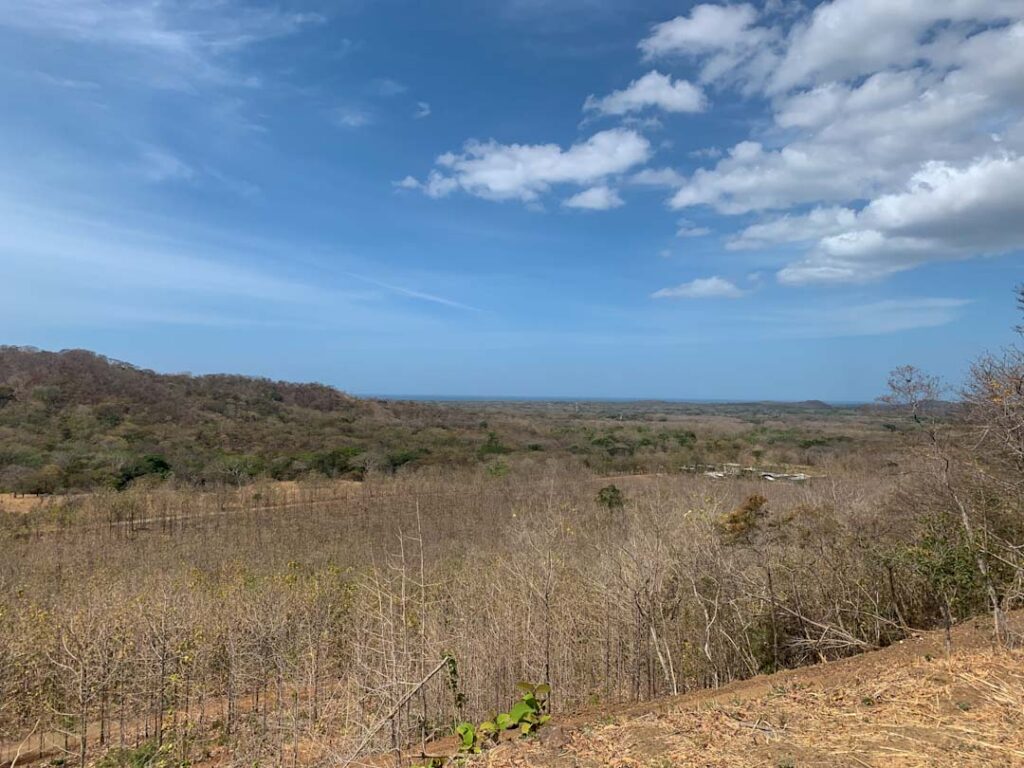 Características de la propiedad