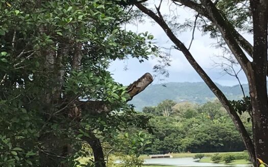 🏖️ Apartamento en Venta en Místico, Playa Hermosa, 2 habitaciones 2 baños listo para disfrutar. Cod.139861