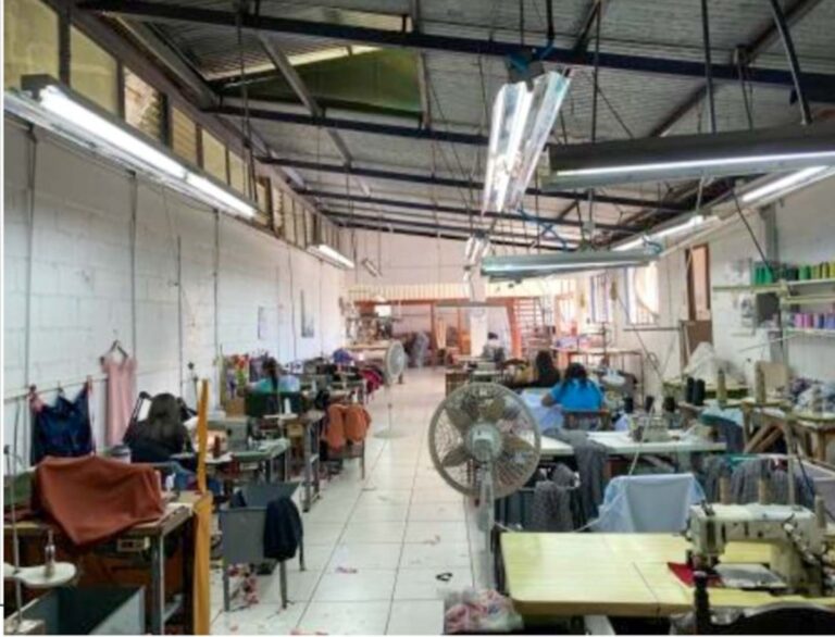 Imagen 6