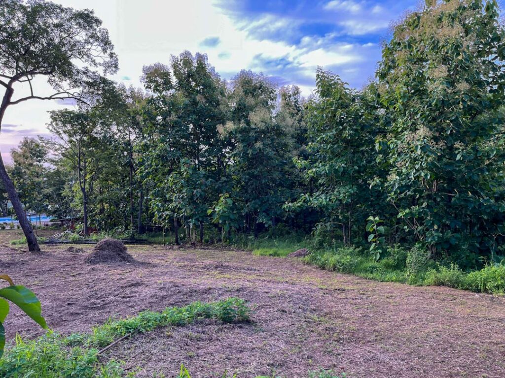 Características de la propiedad