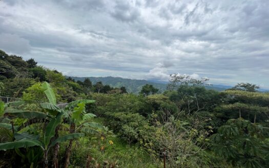 REMATE! Casa de Campo a 15 minutos de la ciudad, en Ciudad Colón, vistas ESPECTACULARES 4 dormitorios,! Precio de lista ₡179,700,000 Precio Mínimo ₡ 132,079,500 COD#67066