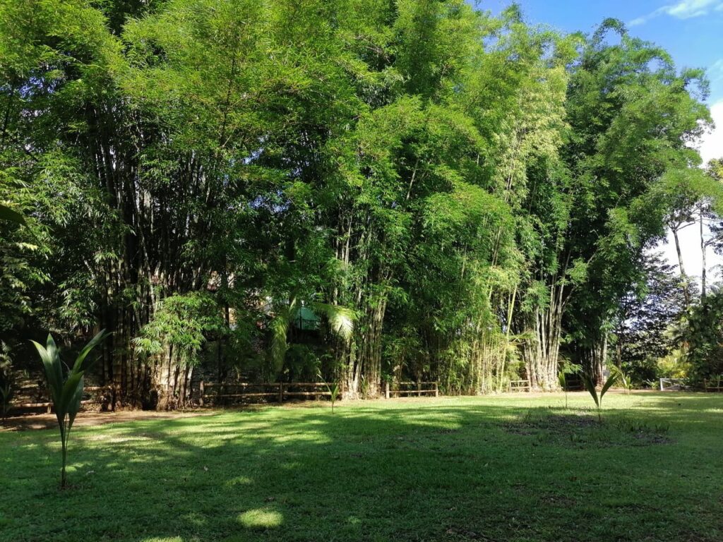 Características de la propiedad