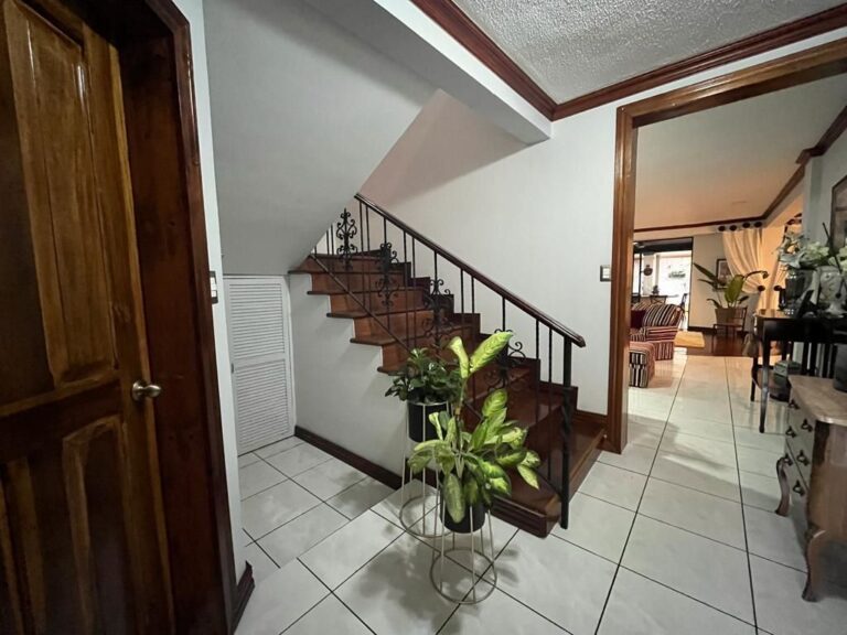 Imagen 7