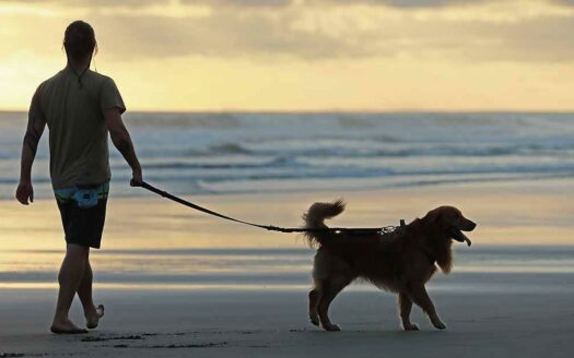 APARTAMENTOS EN PLAYA BEJUCO EN PRE-VENTA, 1 Y 2 HABITACIONES DESDE $159.000 Cod. 140862