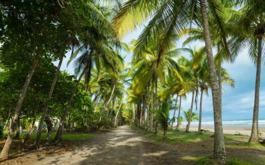 APARTAMENTOS EN PLAYA BEJUCO EN PRE-VENTA, 1 Y 2 HABITACIONES DESDE $159.000 Cod. 140862