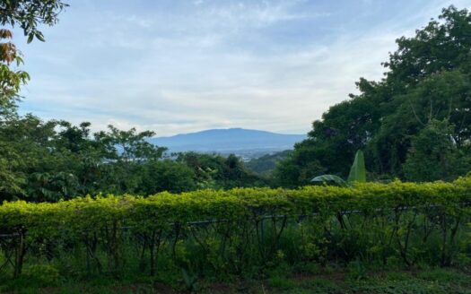 Viva en un espacio INCREIBLE en la ciudad pero con un Lote de finca! 2606m2 con casa de 200mts en Santa Ana COD #80496