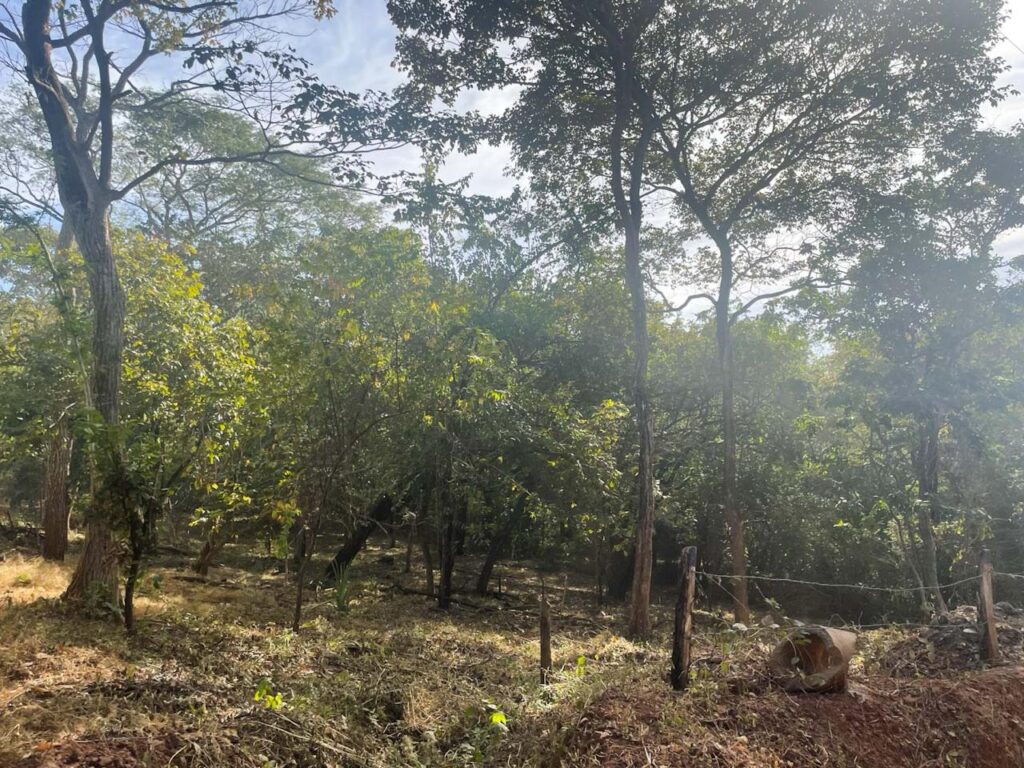 Características de la propiedad