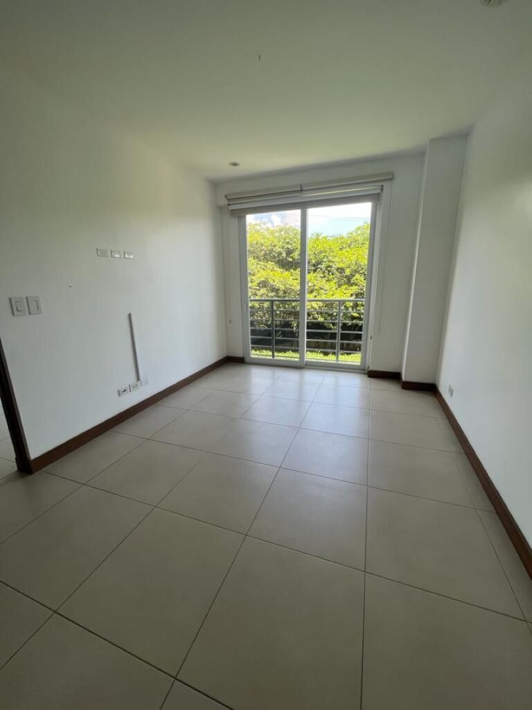 Imagen 7