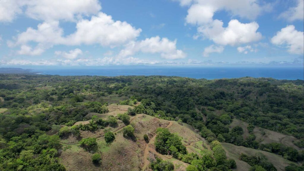 Características de la propiedad
