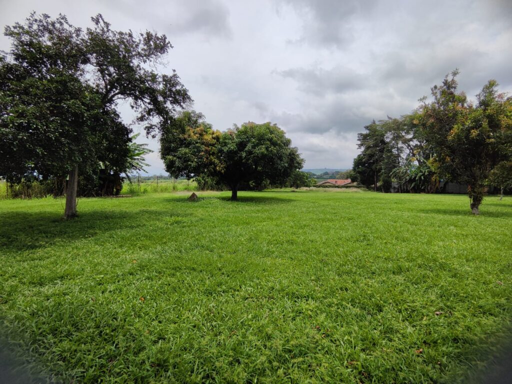 Características de la propiedad