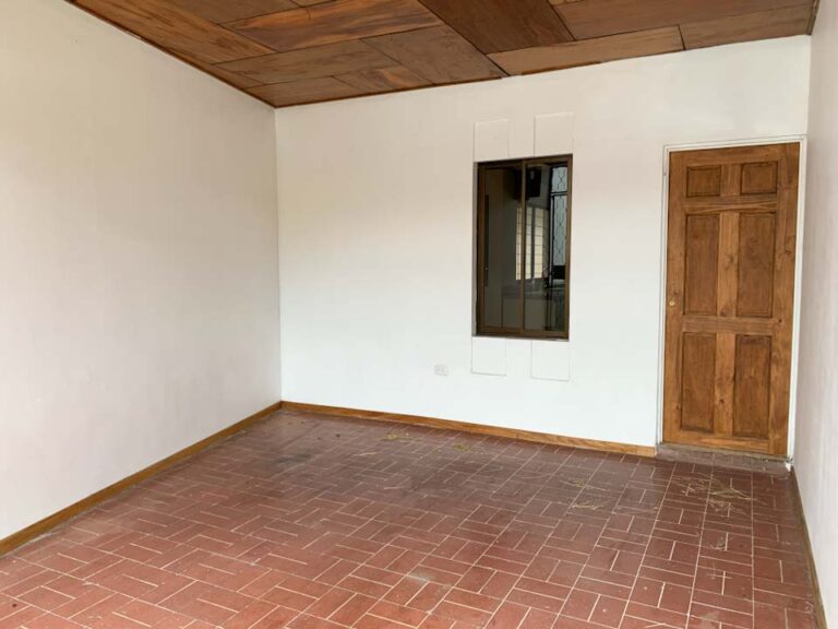 Imagen 26