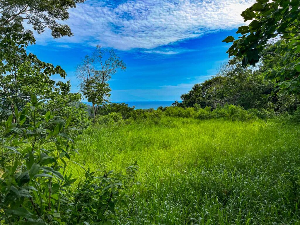 Características de la propiedad