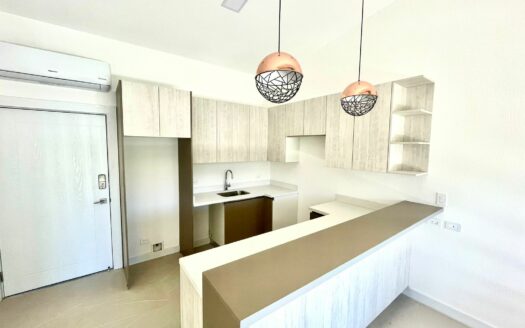 Brand New Apartment 1BR 1BTH for Sale in Tamarindo COD:95263