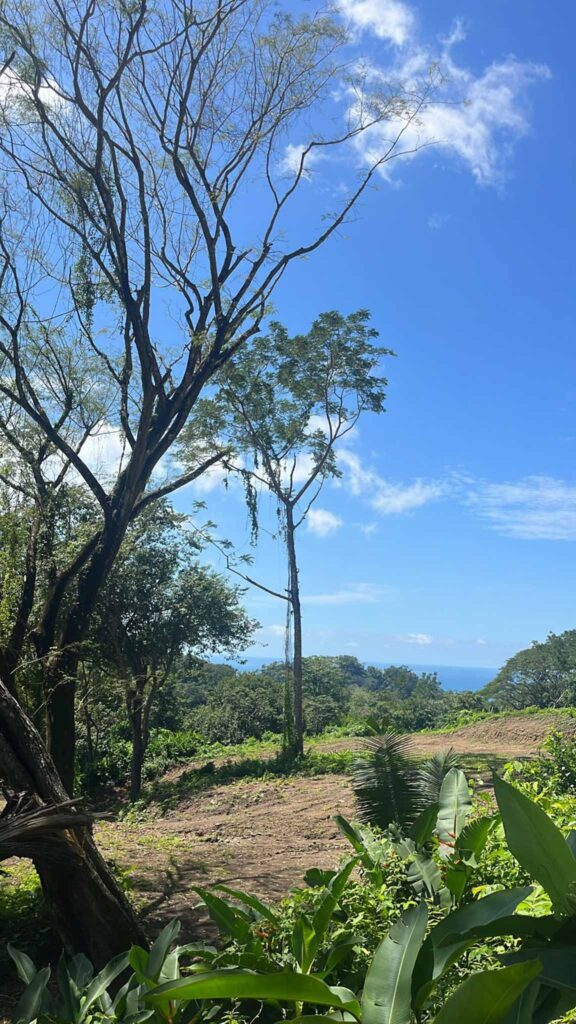 Características de la propiedad