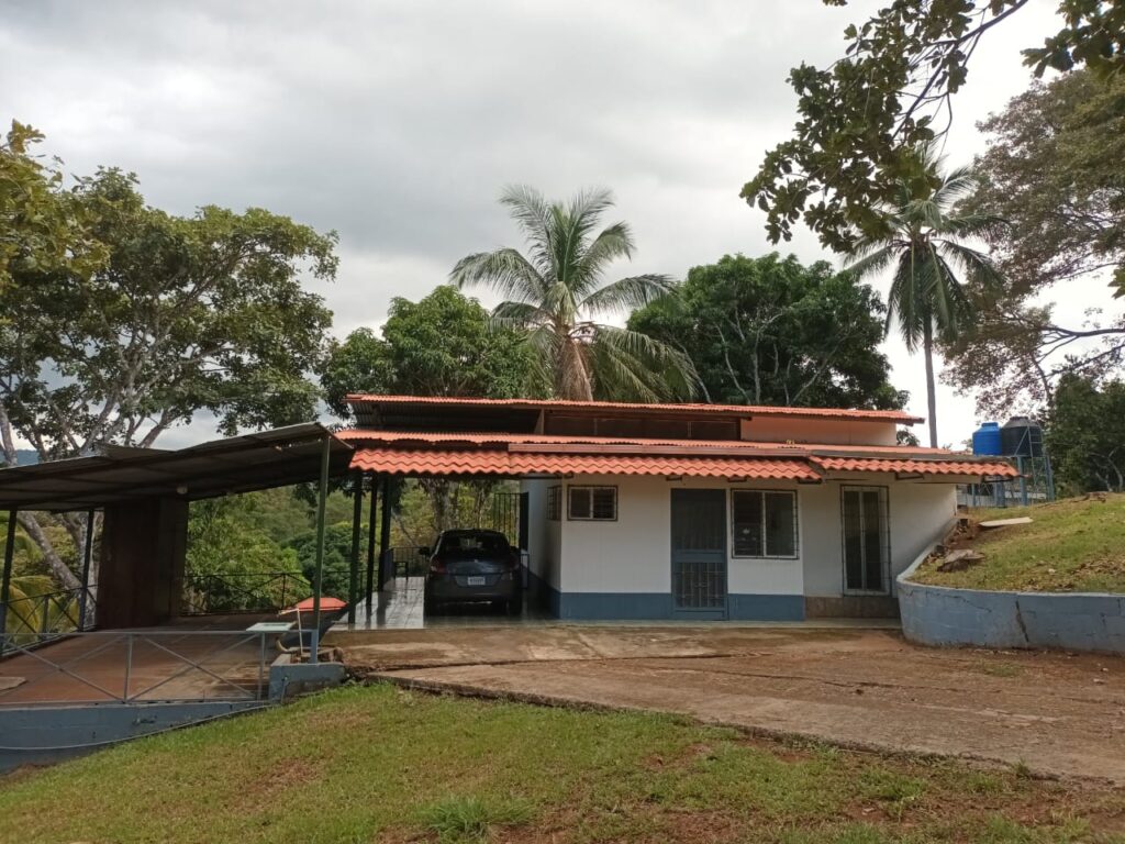 Características de la propiedad