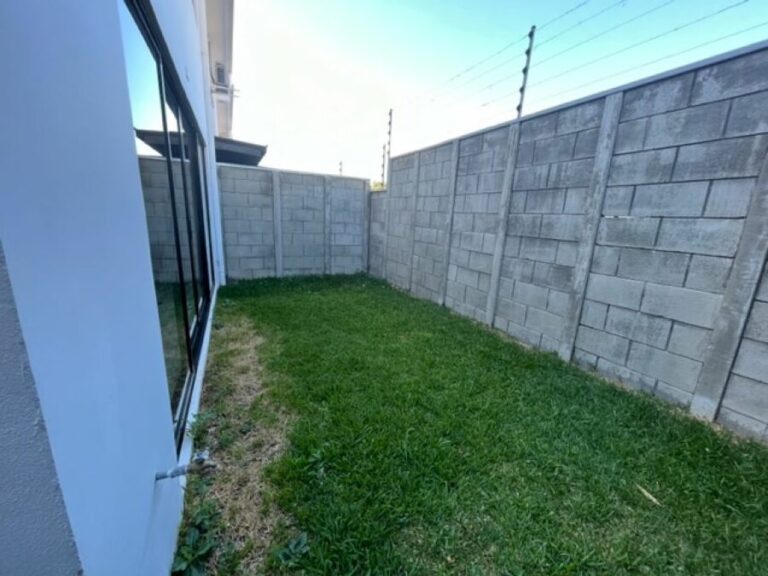 Imagen 8