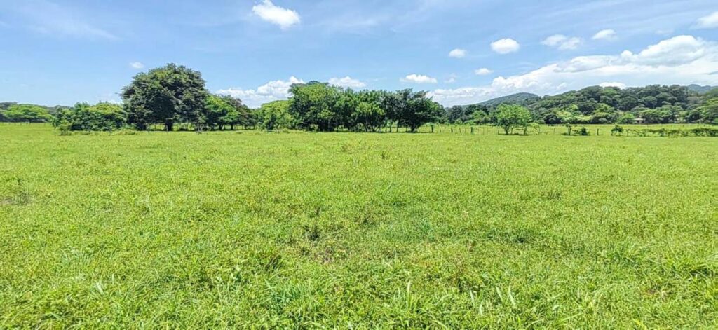 Características de la propiedad