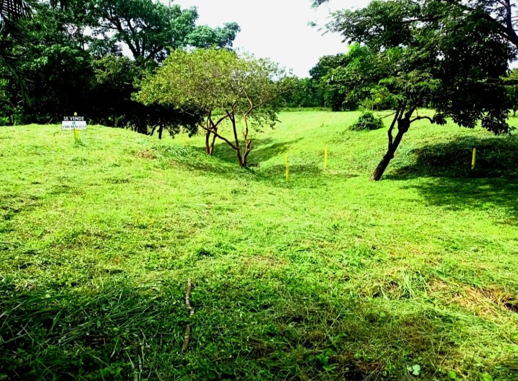 Características de la propiedad