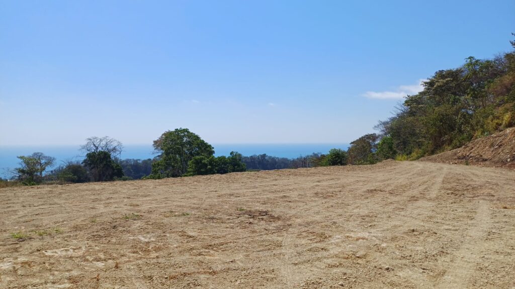 Características de la propiedad