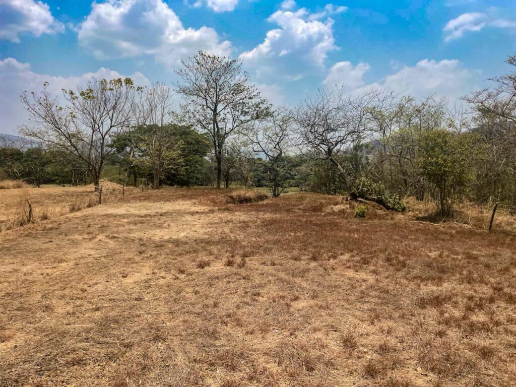 Características de la propiedad