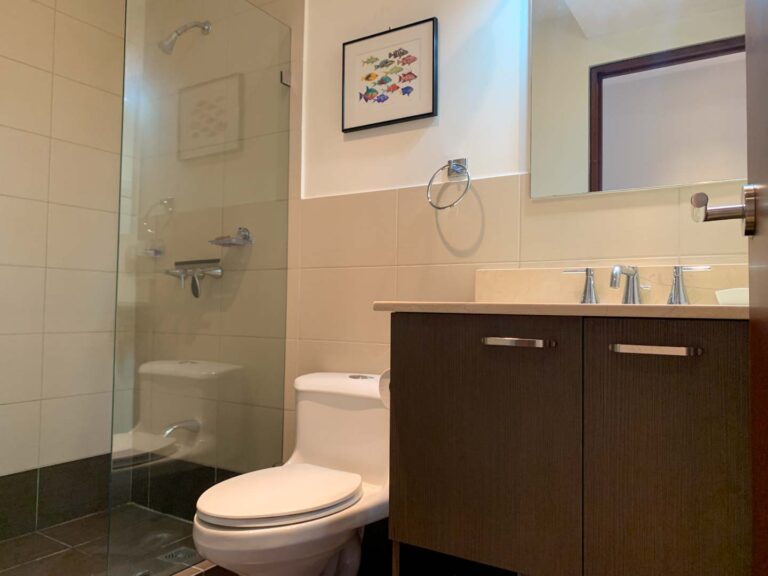 Imagen 13