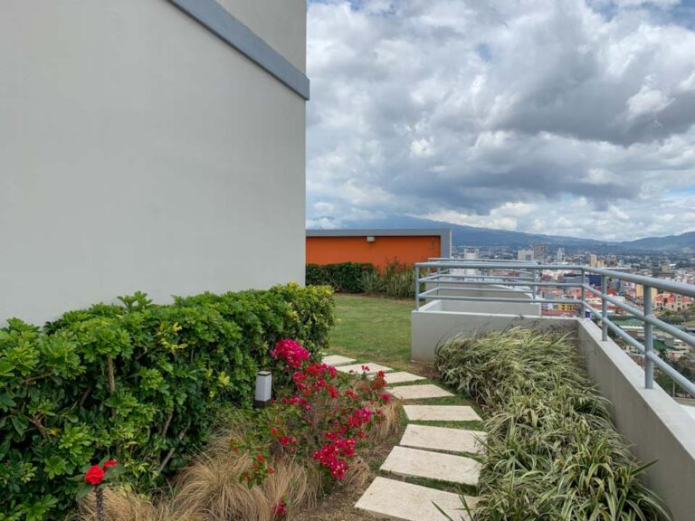 Imagen 26