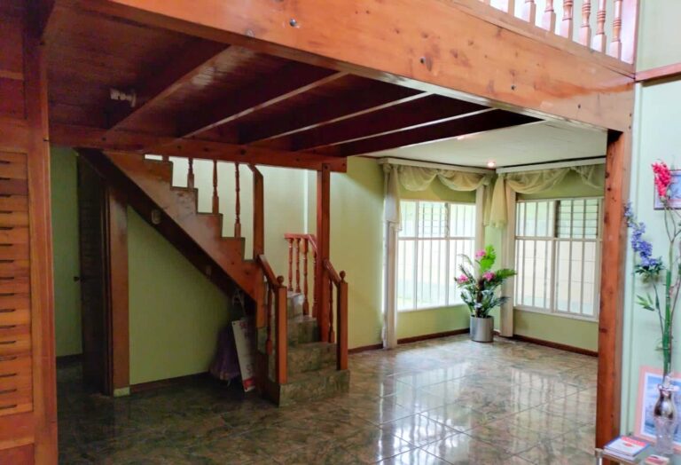 Imagen 6