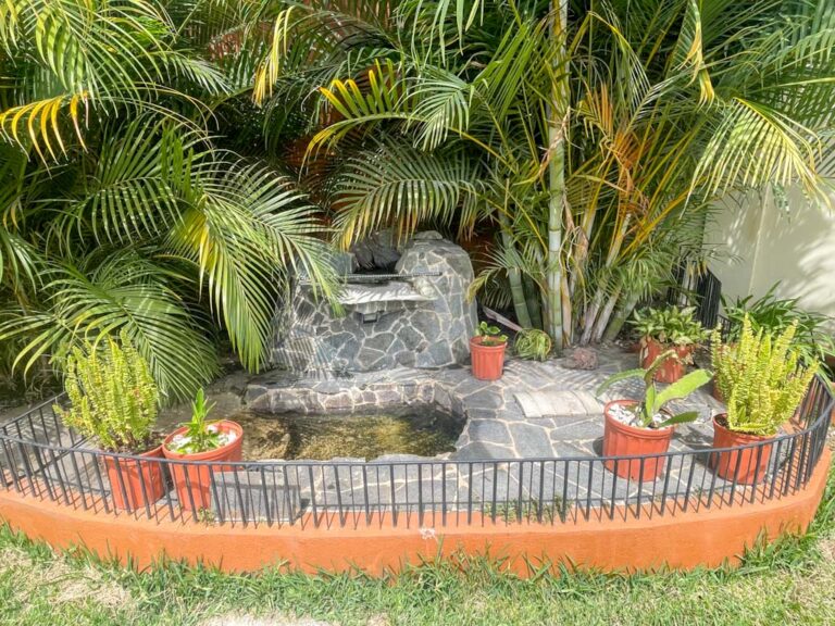 Imagen 5