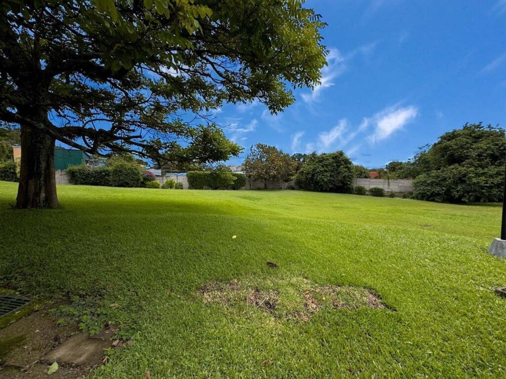 Características de la propiedad