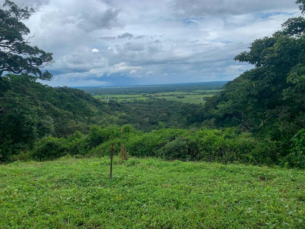 Características de la propiedad