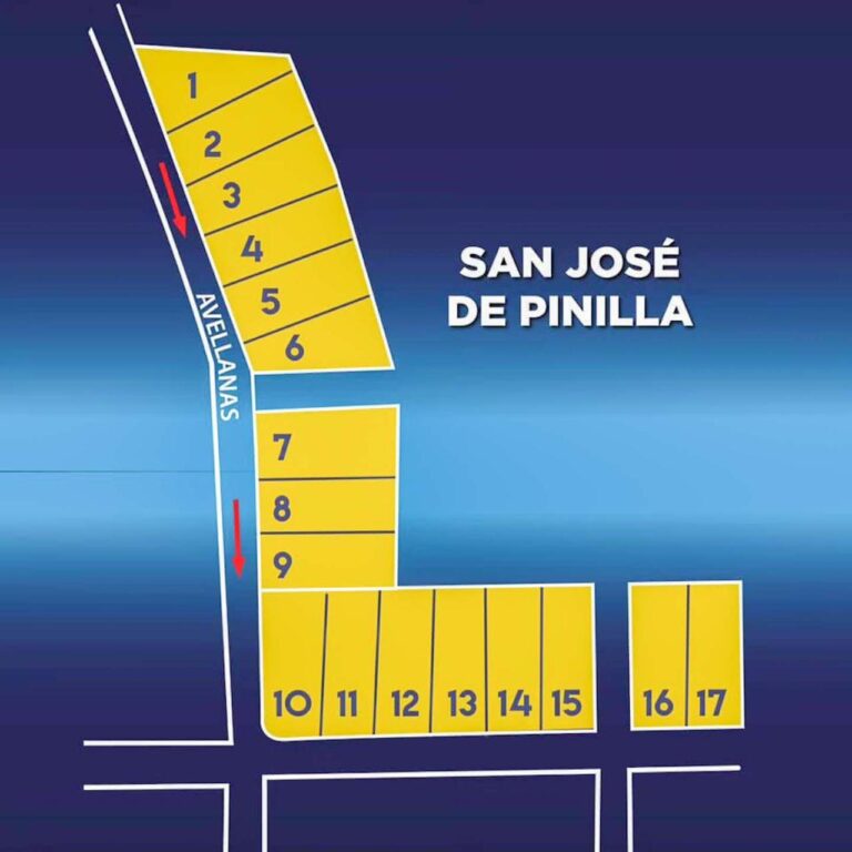 Imagen 7