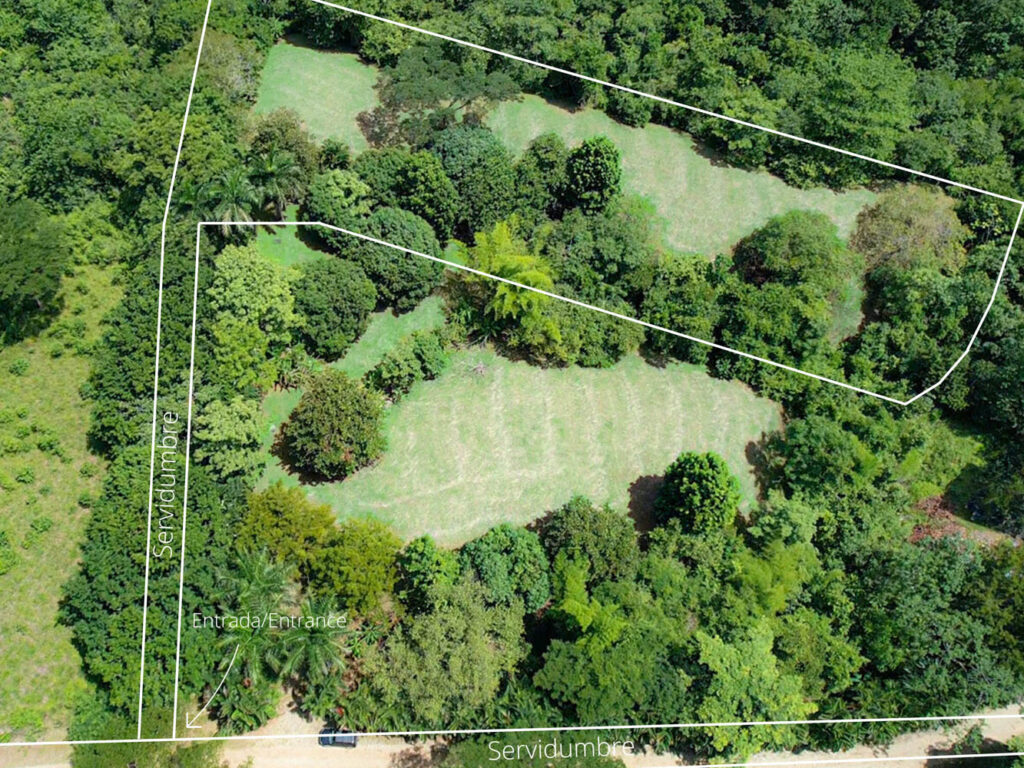 Características de la propiedad