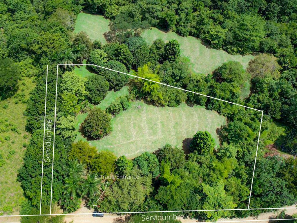 Características de la propiedad