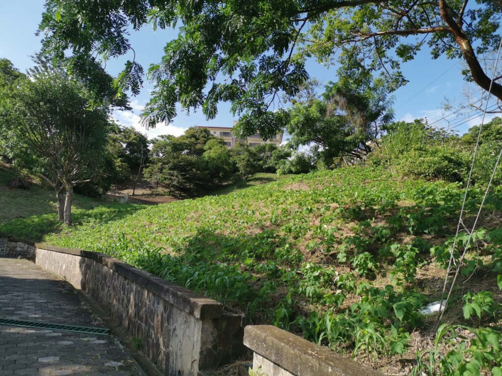 Características de la propiedad