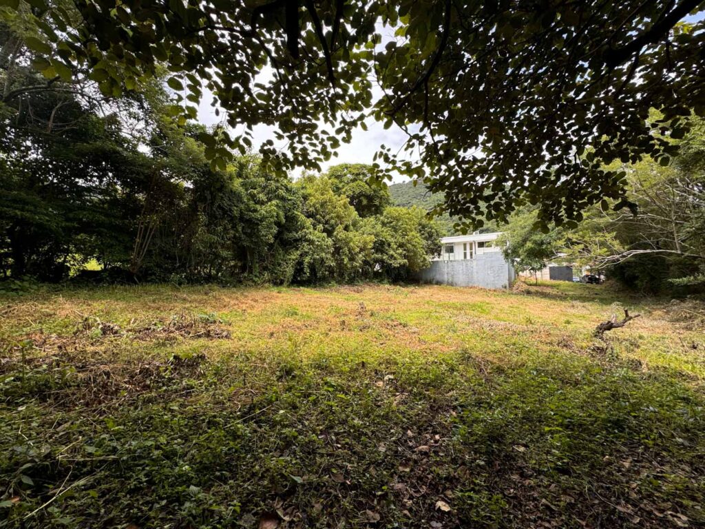 Características de la propiedad