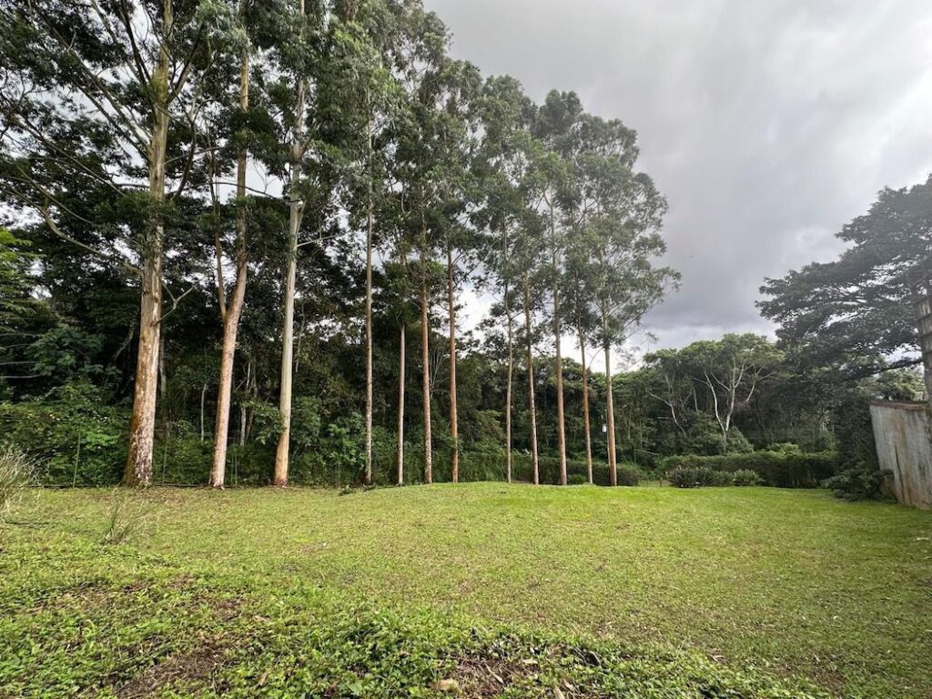 Características de la propiedad