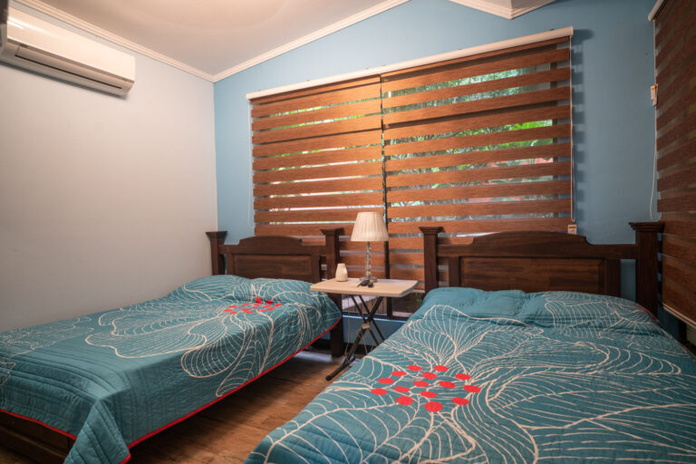 Imagen 14