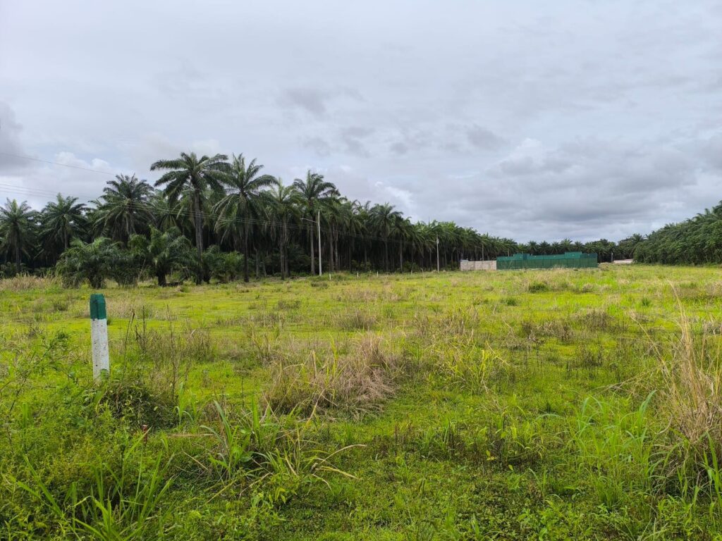 Características de la propiedad
