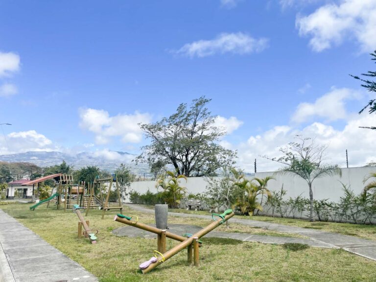 Imagen 11