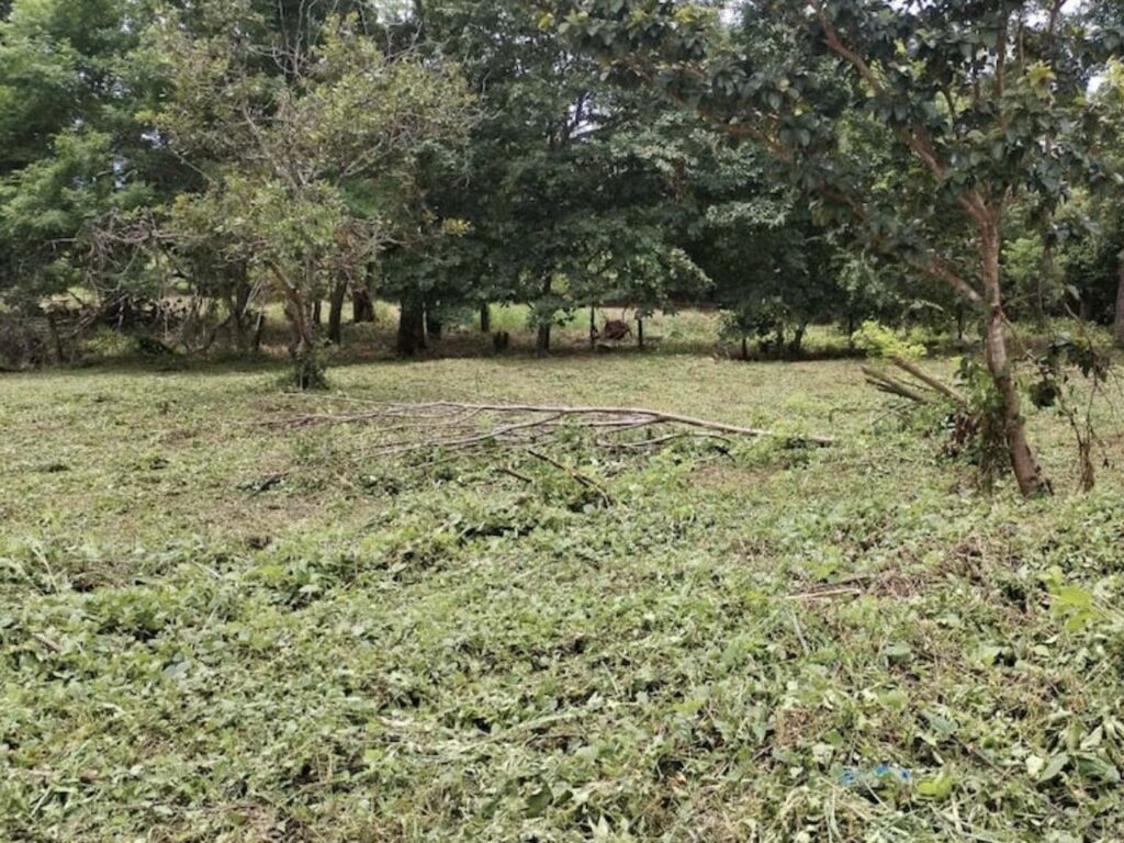 Características de la propiedad