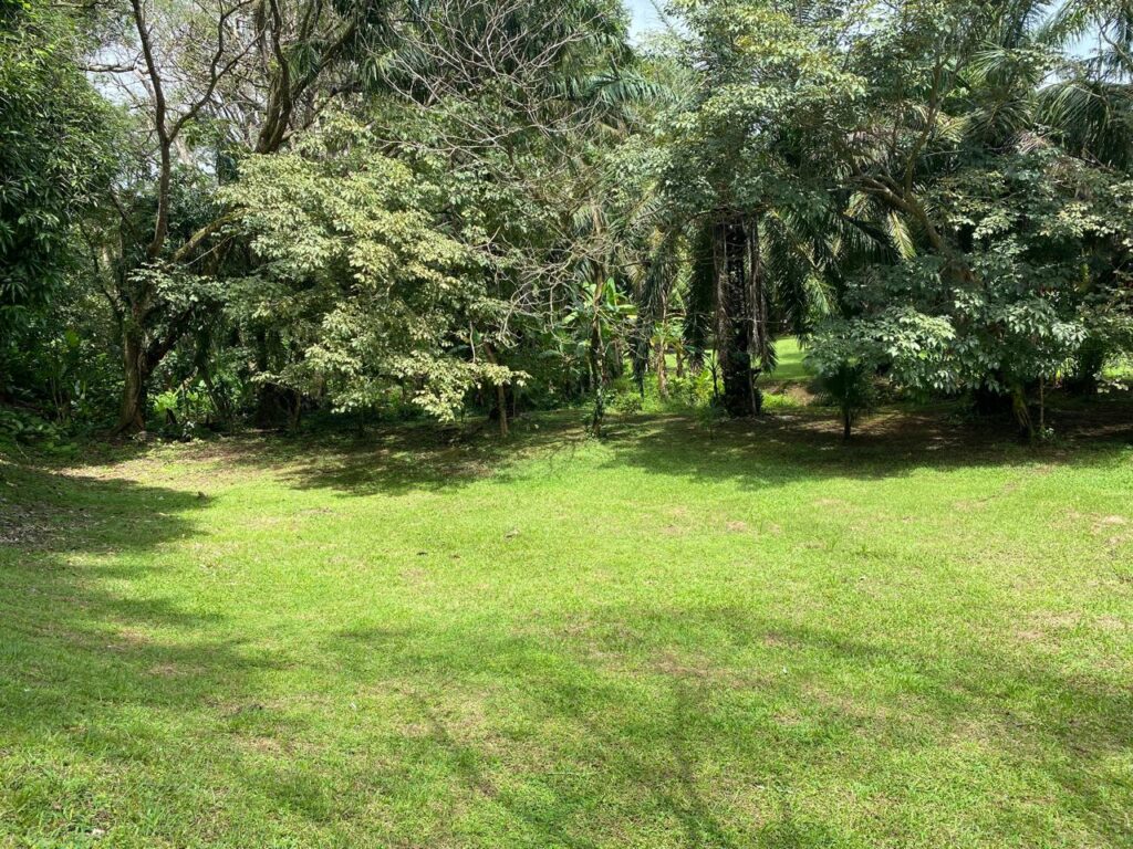 Características de la propiedad