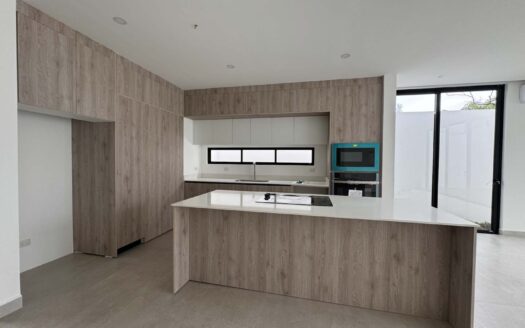 Preciosa Casa En Venta Nueva En Santa Ana Centro, Moderna Y Con Amenidades Exclusivas. Cod. 116032