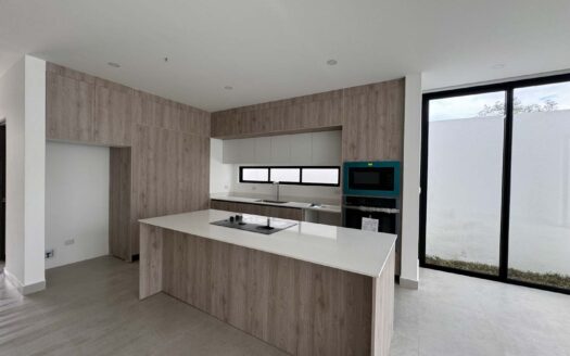 Preciosa Casa En Venta Nueva En Santa Ana Centro, Moderna Y Con Amenidades Exclusivas. Cod. 116032