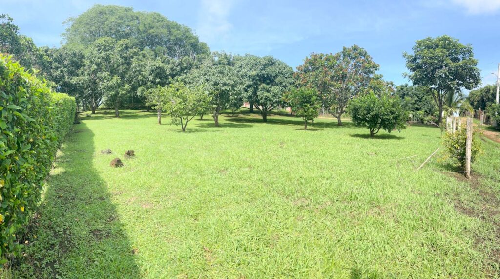 Características de la propiedad