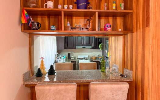 Casa en Alquiler en Taras de 2 habitaciones y 2 baños, Mensualidad de ₡400.000. Cod 119069