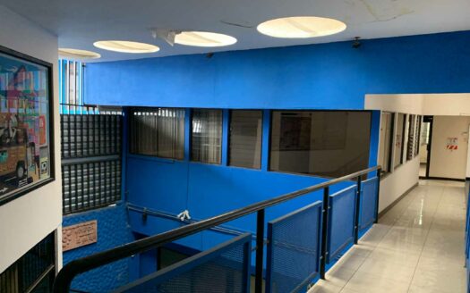 Edificio comercial en remate en Zapote, amplio y con estratégica ubicación COD#118099